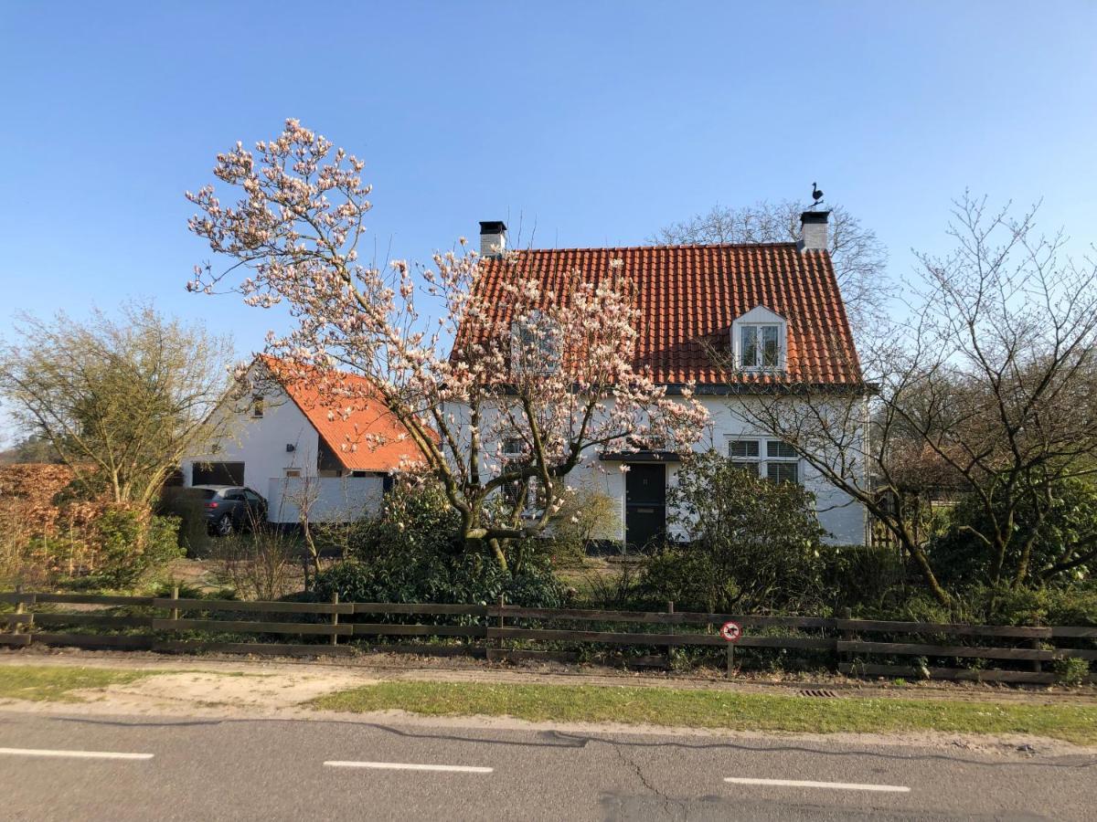 Horse And Hound Bed & Breakfast Riethoven Exterior photo